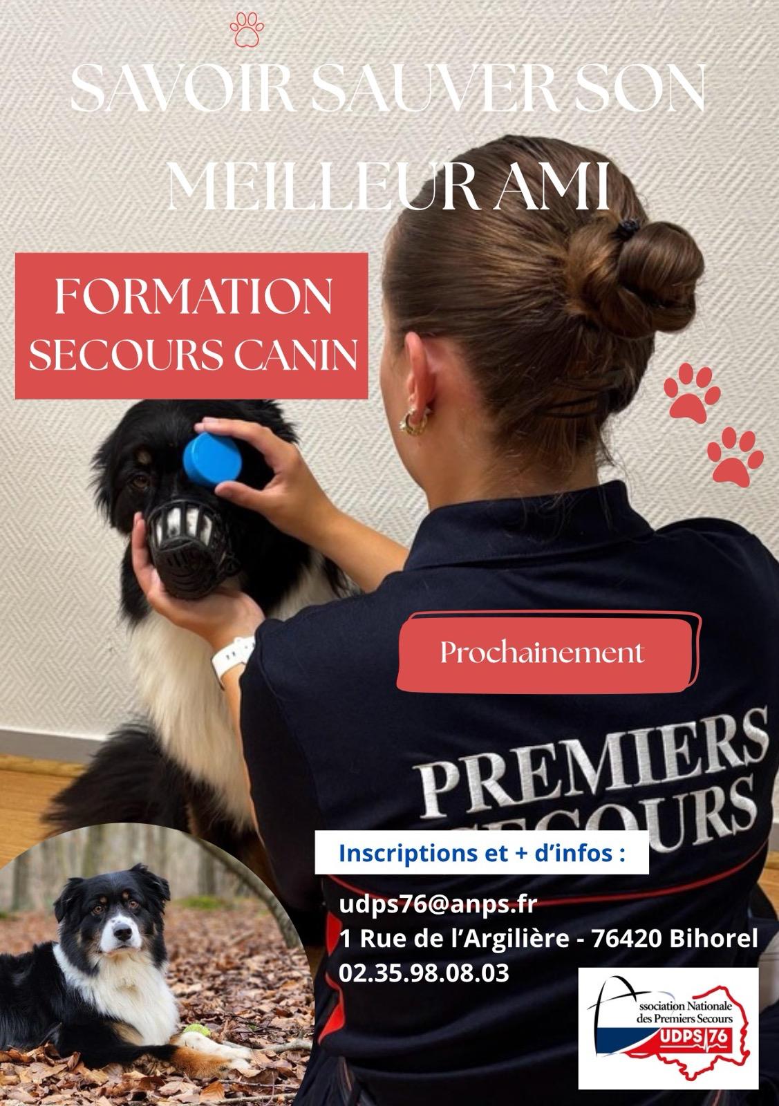 Premiers Secours Canin